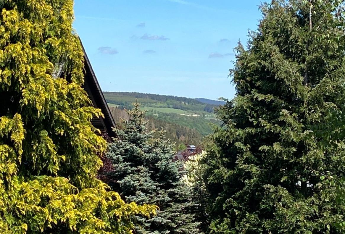 Ferienwohnung Kleine Auszeit Winterberg Fuer 2- 4 Personen Extérieur photo